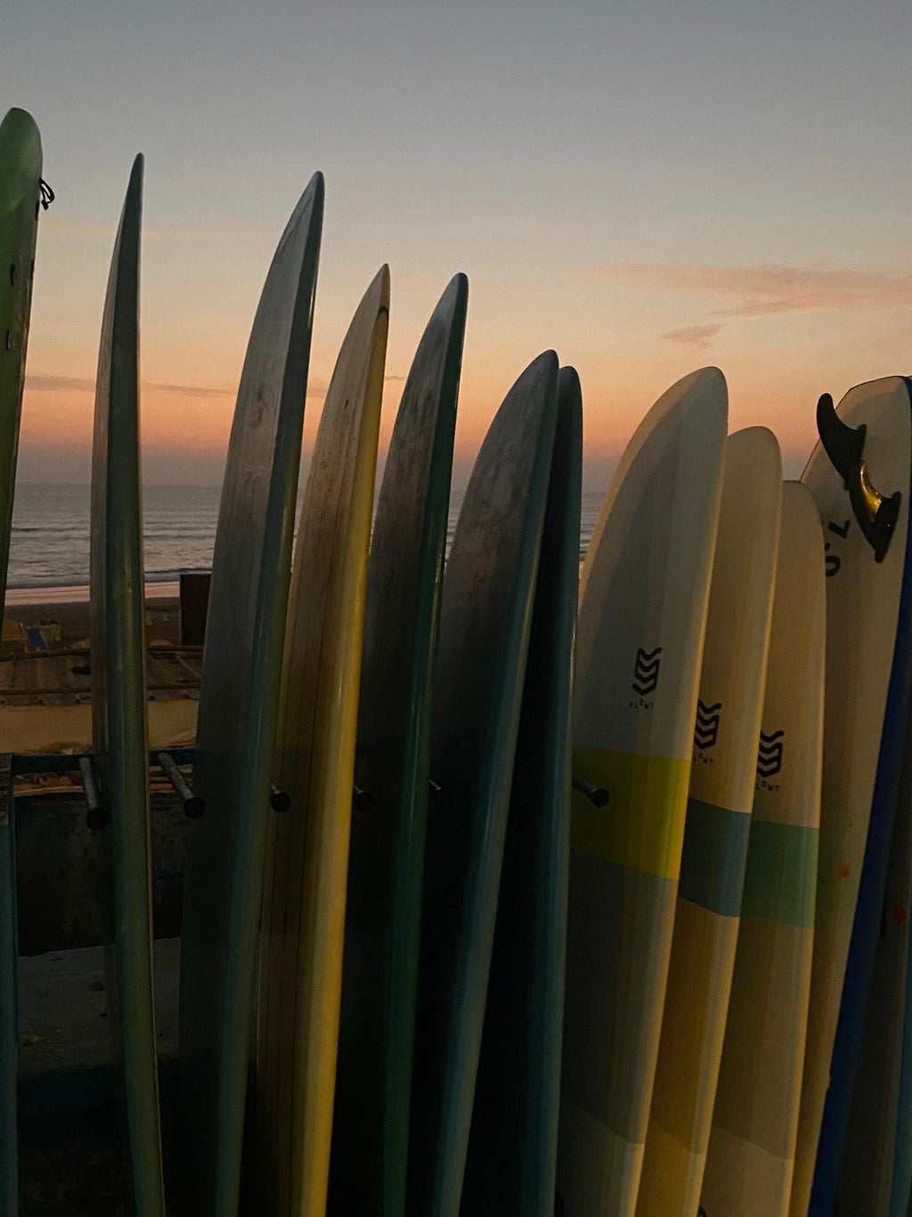 🌊 Surftrip in Marocco – Costa dell’Eterna Primavera