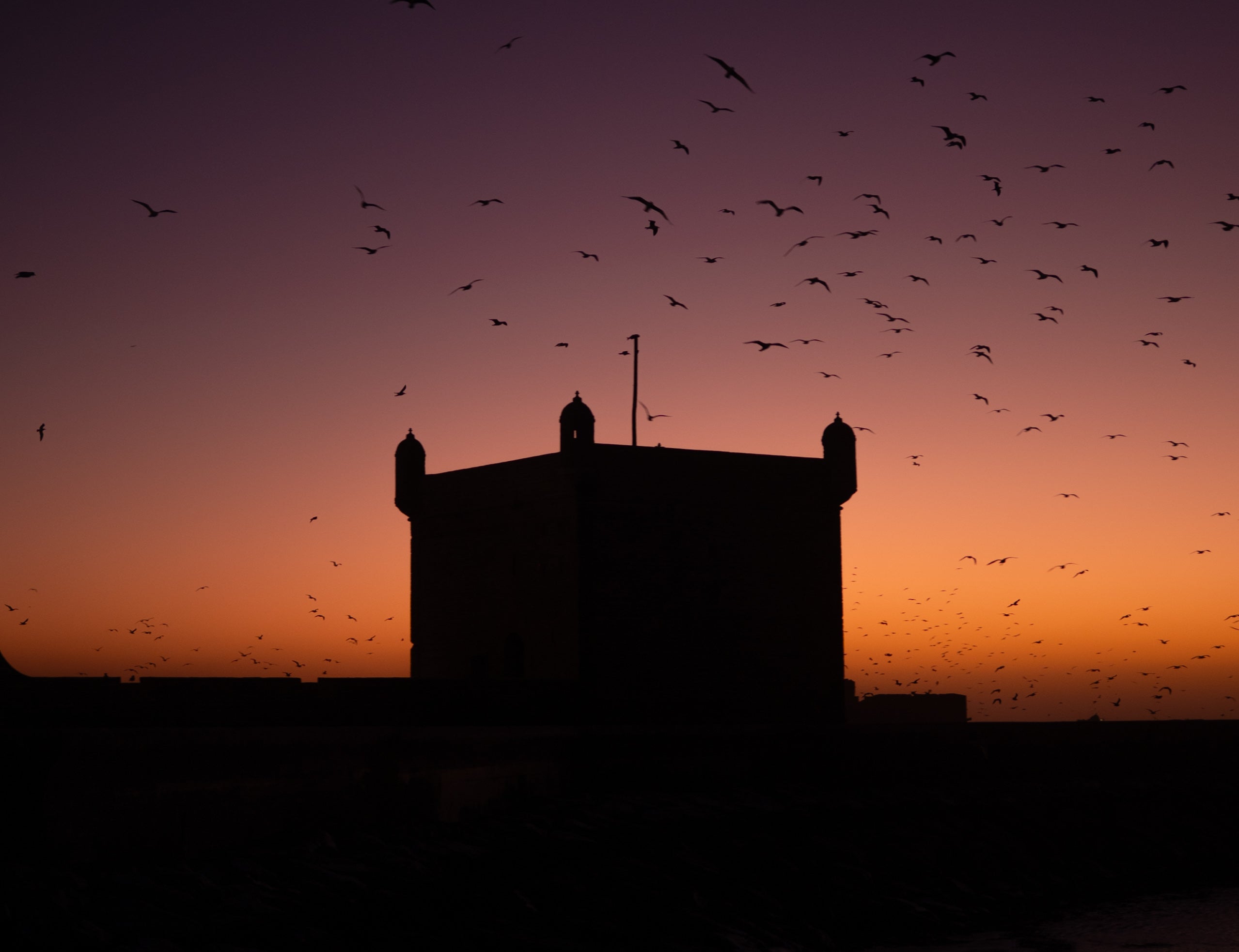 Relax e scoperta: un tour in marocco