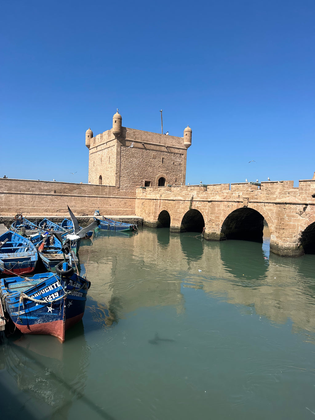 Relax e scoperta: un tour in marocco