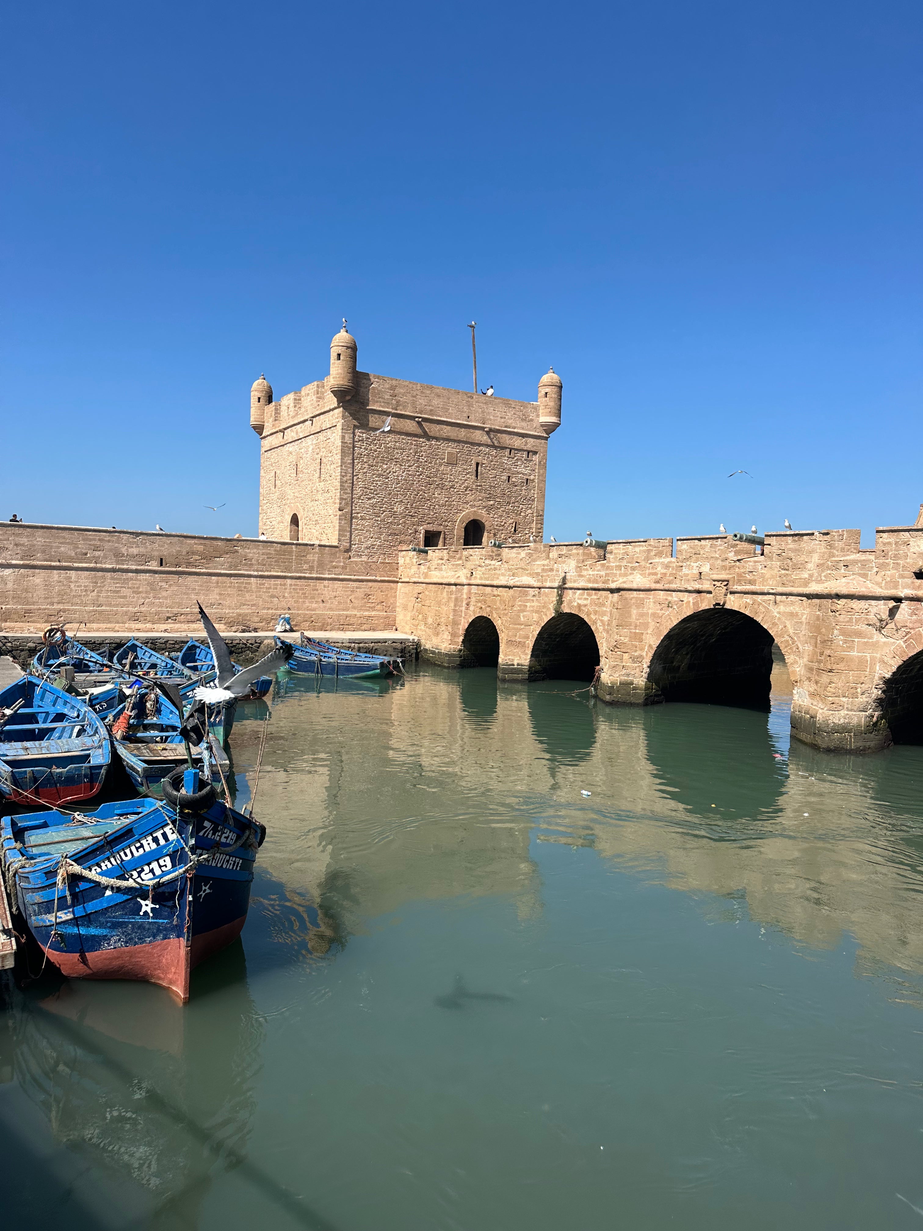 Relax e scoperta: un tour in marocco