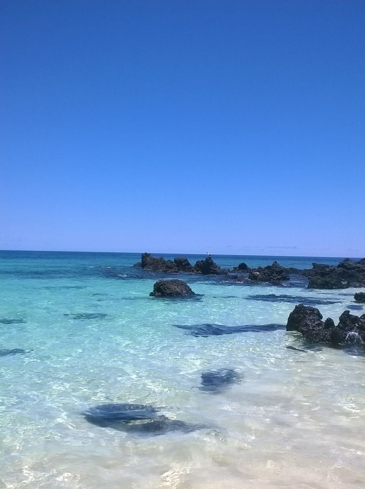 ROAD TRIP - FUERTEVENTURA 🌊