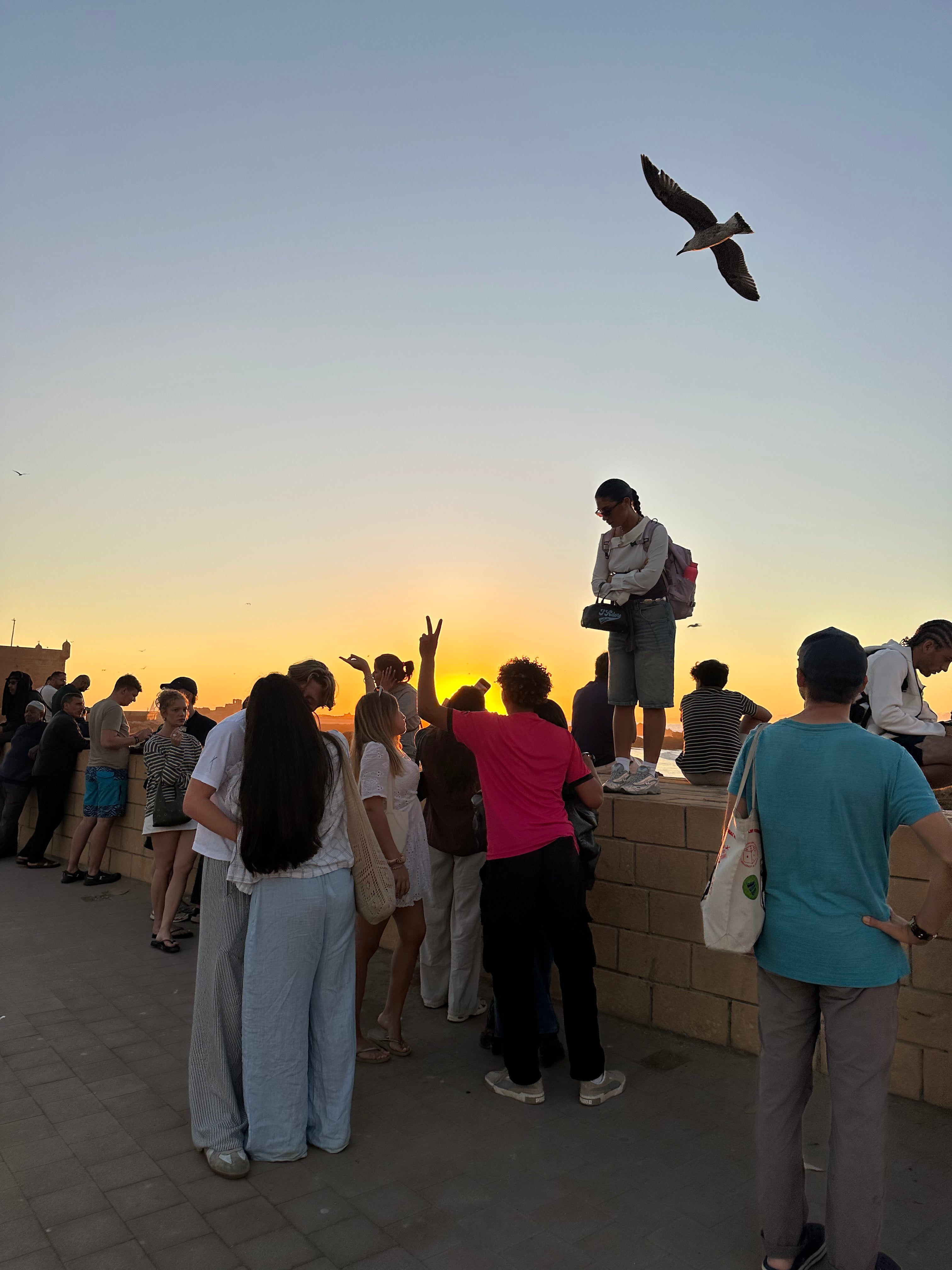 🌊 Surftrip in Marocco – Costa dell’Eterna Primavera