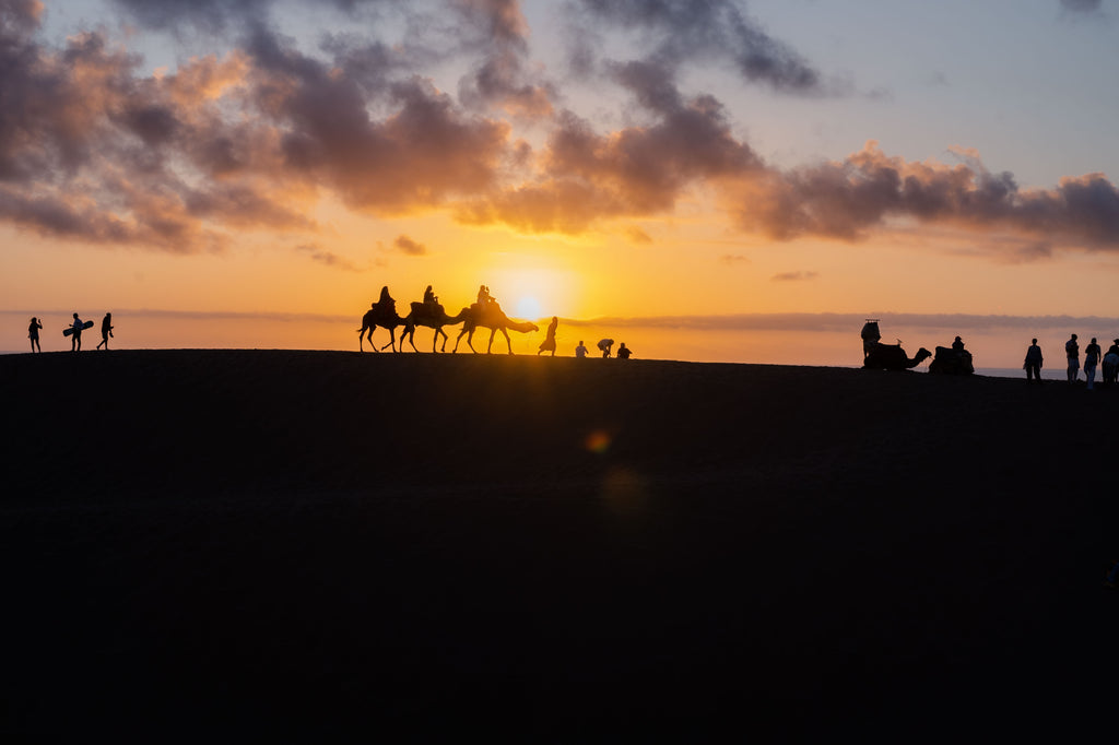 🌊 Surftrip in Marocco – Costa dell’Eterna Primavera