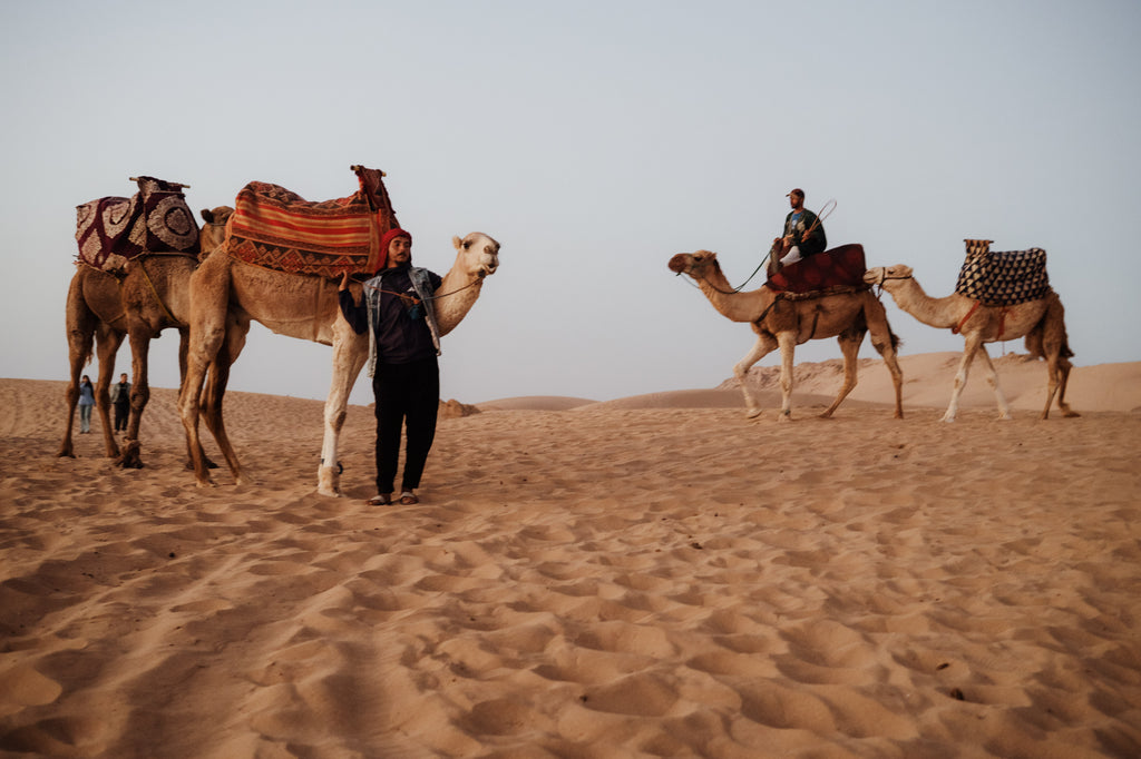 Relax e scoperta: un tour in marocco