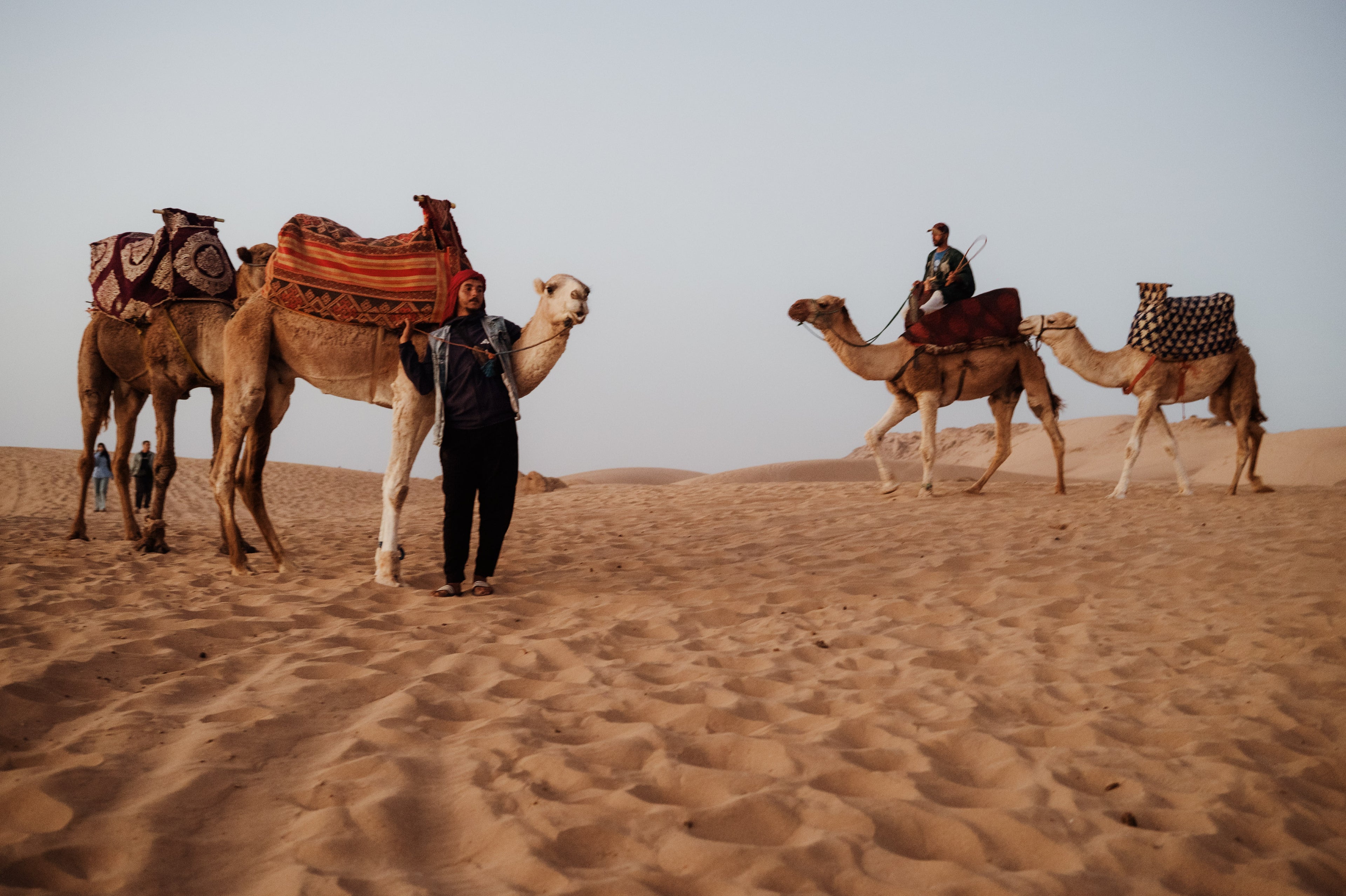 Relax e scoperta: un tour in marocco